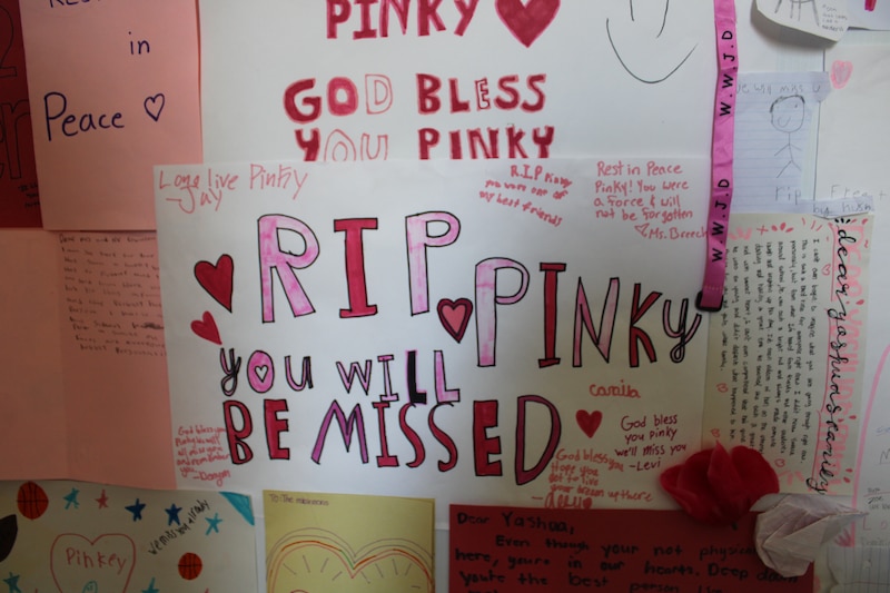 Hand drawn posters show messages of mourning for the death of Yahushua Robinson. "RIP Pinky. You will be missed," reads the largest and most visible poster.