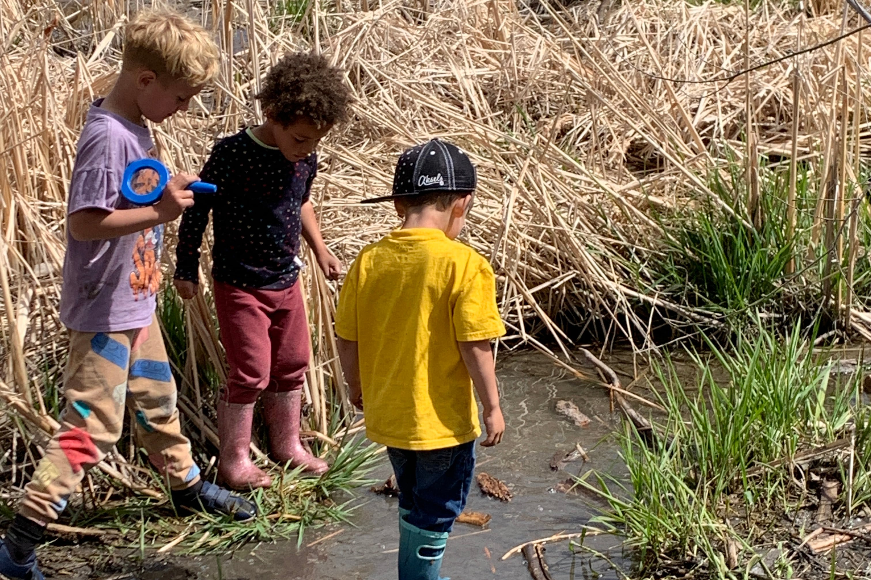 Three young children stand outside looking at the ground.