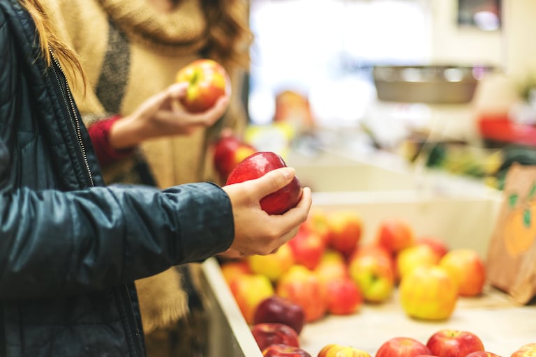 Padres en Colorado: quizás puedan obtener más dinero para el supermercado este verano