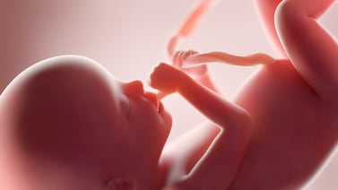 Is "Baby Olivia" headed to a school near you? Bills would allow fetal development video screenings